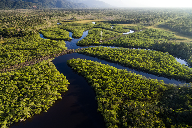 amazonia1.png