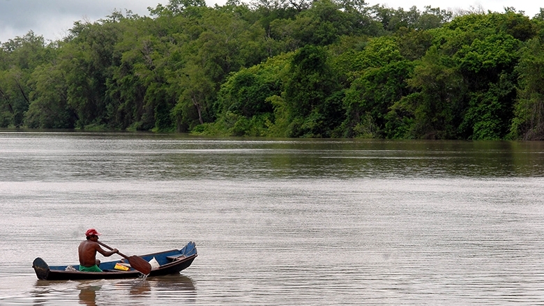 amazonia2.jpeg